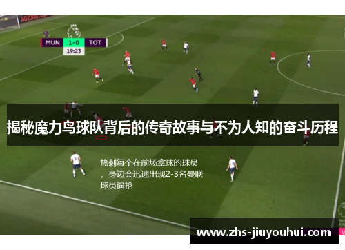 揭秘魔力鸟球队背后的传奇故事与不为人知的奋斗历程