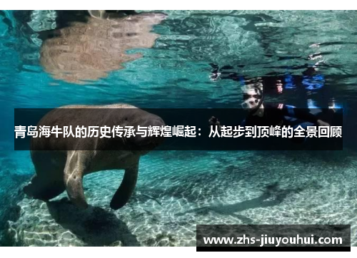青岛海牛队的历史传承与辉煌崛起：从起步到顶峰的全景回顾