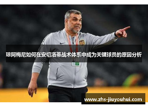 琼阿梅尼如何在安切洛蒂战术体系中成为关键球员的原因分析 琼阿梅尼如何在安切洛蒂战术体系中成为关键球员的原因分析