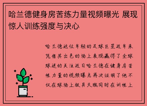 哈兰德健身房苦练力量视频曝光 展现惊人训练强度与决心 哈兰德健身房苦练力量视频曝光 展现惊人训练强度与决心